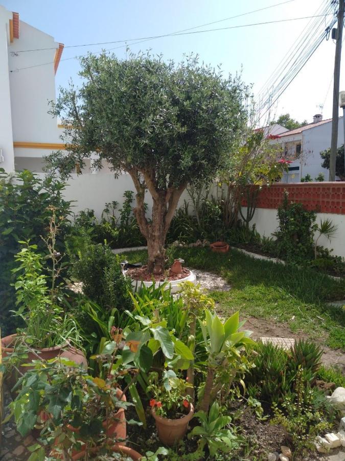 Casa Malaquias Apartment Santo André Екстериор снимка